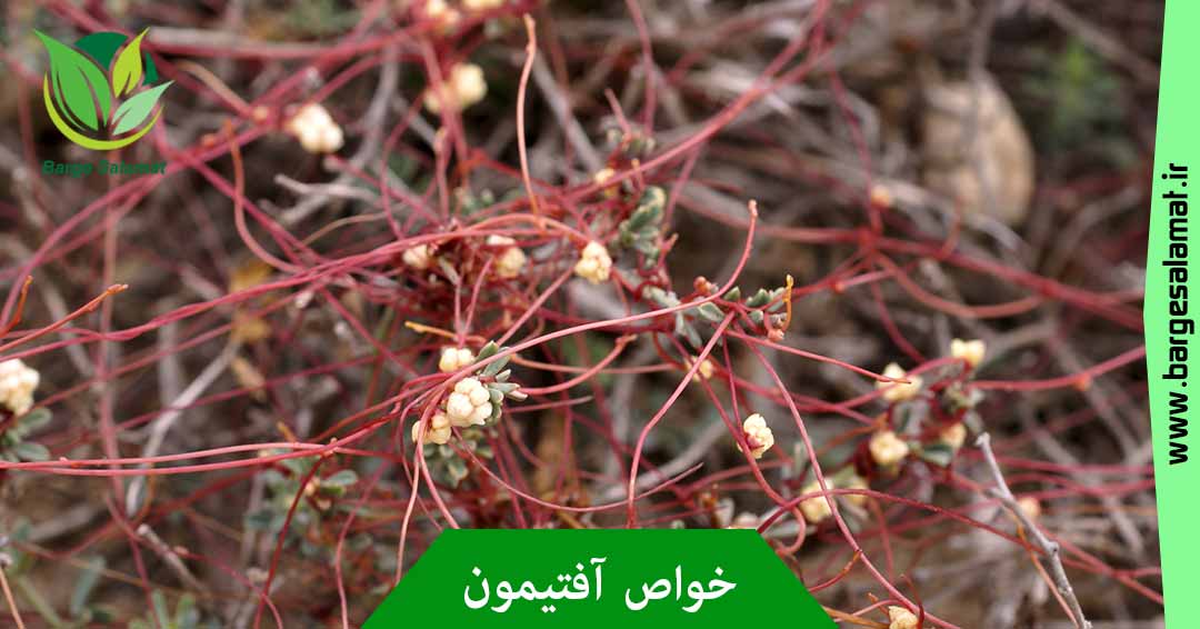 خواص آفتیمون خواص آفتیمون