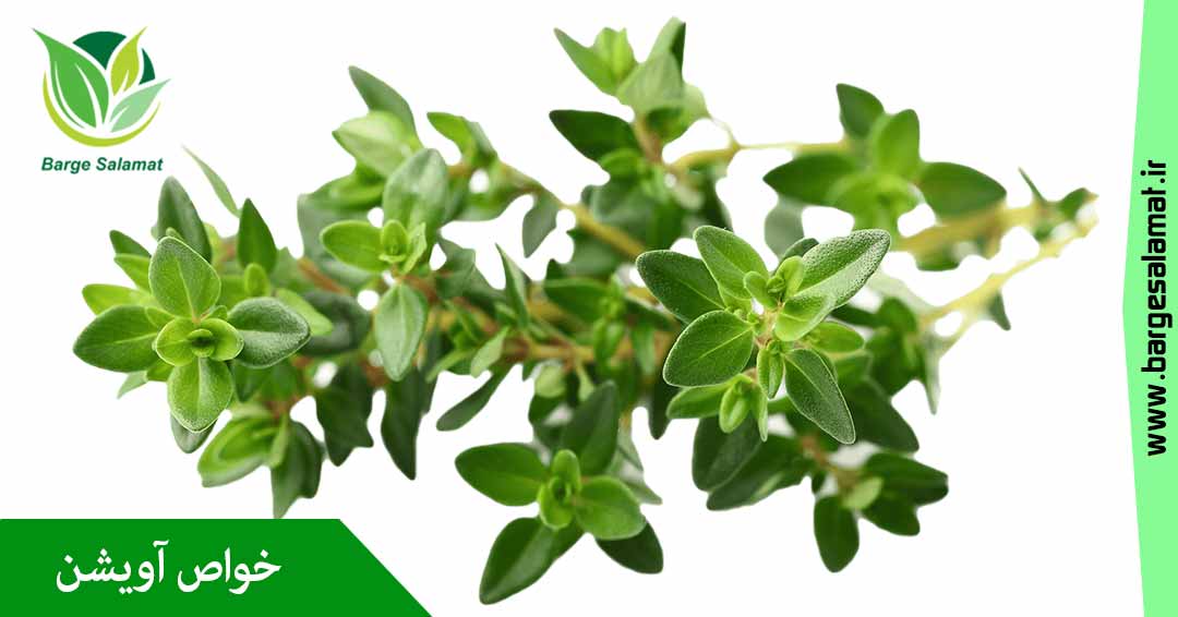 خواص آویشن خواص آویشن
