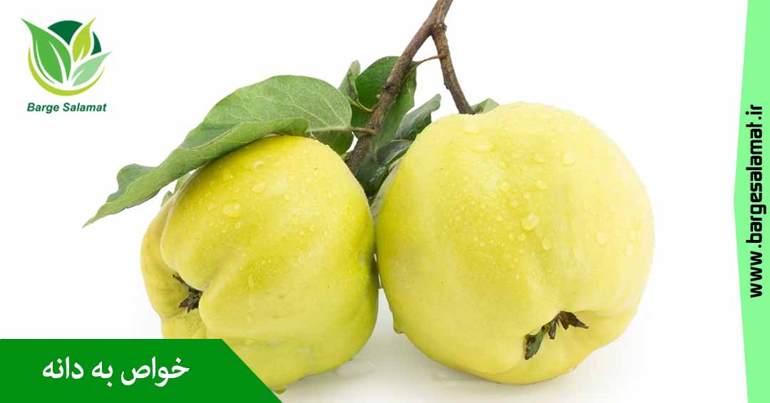 خواص به دانه خواص به دانه