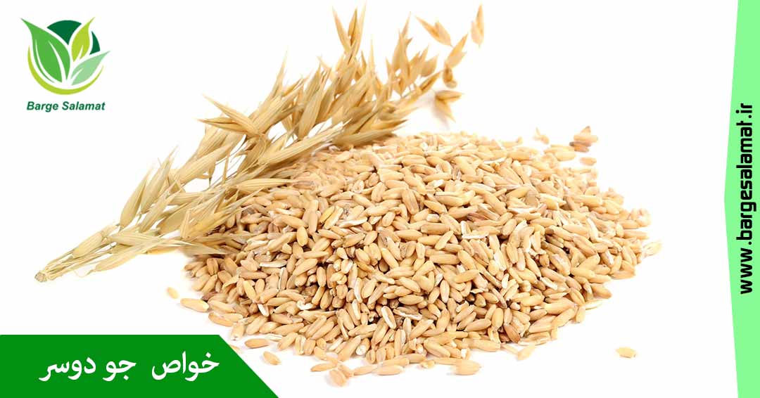 خواص جو دوسر(یولاف) خواص جو دوسر(یولاف)