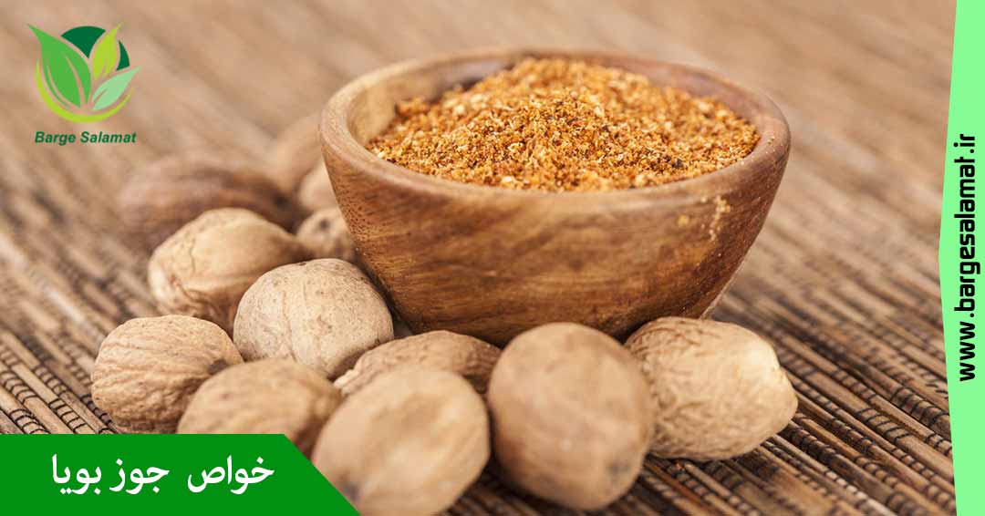 خواص جوز بویا (جوز هندی) خواص جوز بویا (جوز هندی)