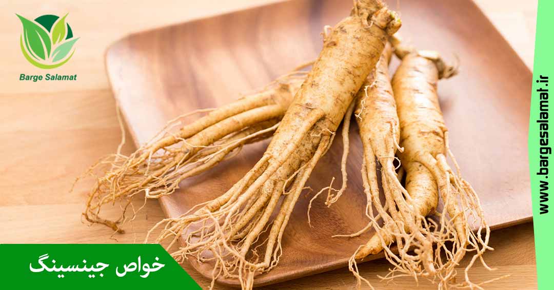 خواص ریشه جینسینگ خواص ریشه جینسینگ