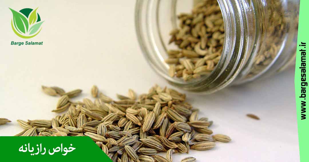 خواص رازیانه خواص رازیانه