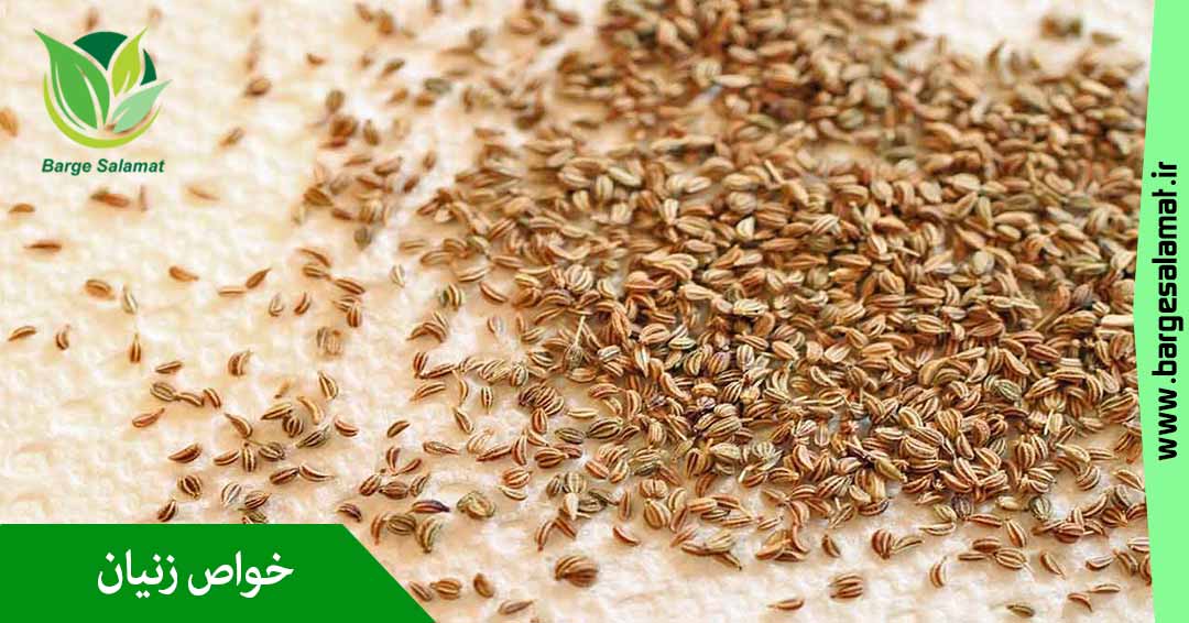 خواص زنیان (خوردانه) خواص زنیان (خوردانه)