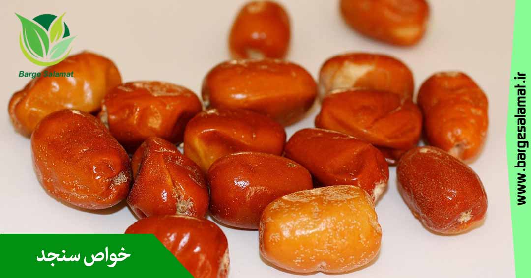 خواص سنجد خواص سنجد