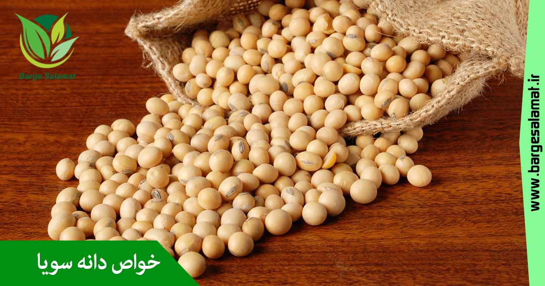 خواص دانه سویا خواص دانه سویا