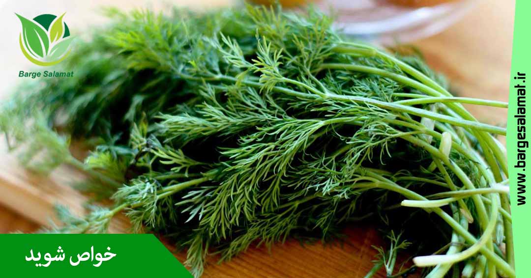 خواص شوید خواص شوید