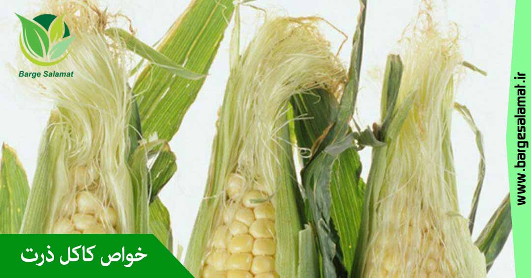 خواص کاکل ذرت خواص کاکل ذرت