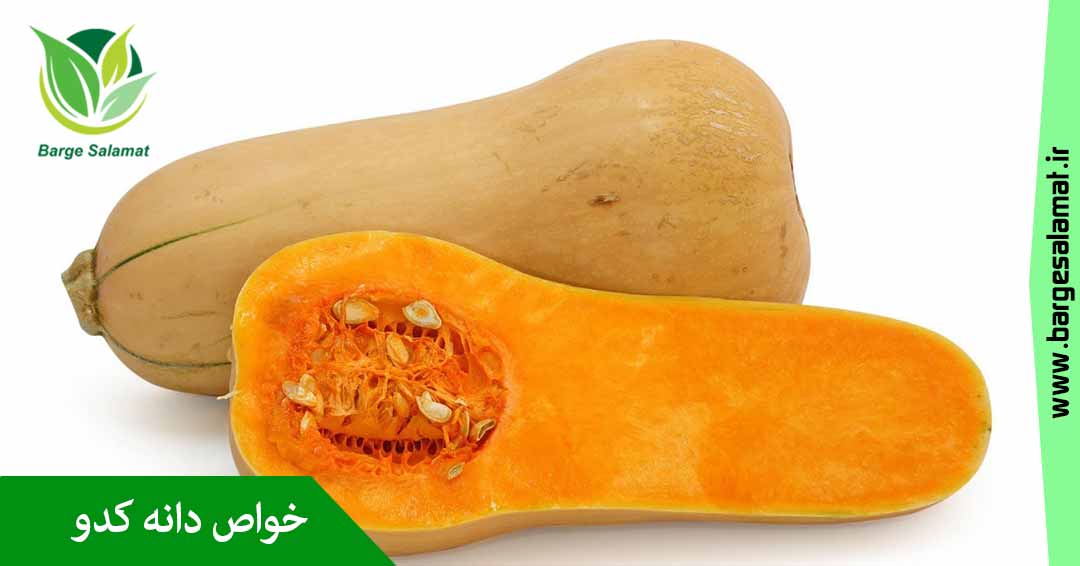 خواص تخم کدو خواص تخم کدو