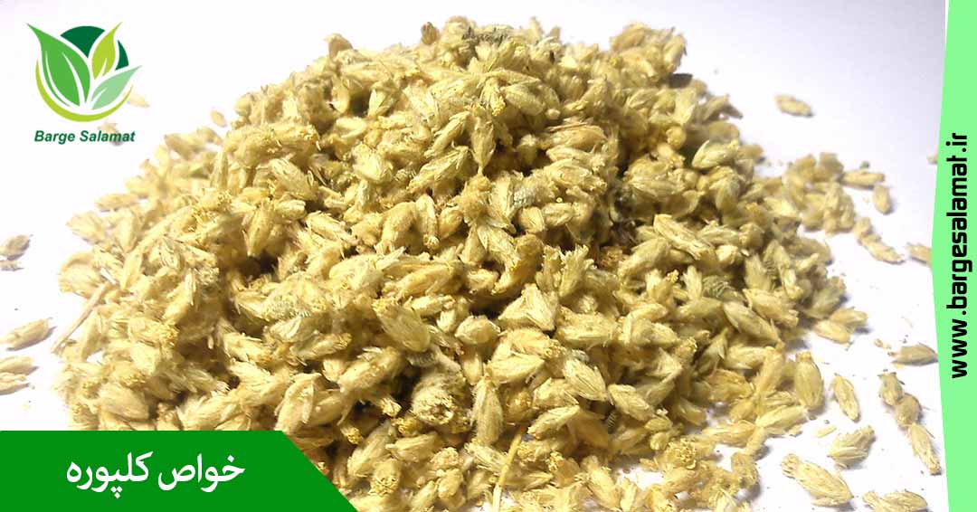 خواص کلپوره خواص کلپوره