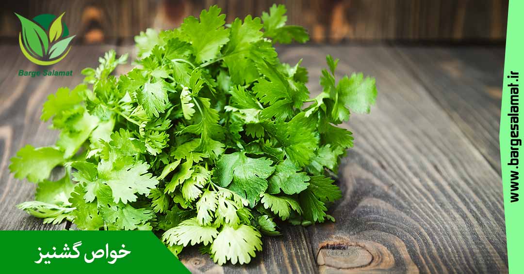 خواص گشنیز خواص گشنیز