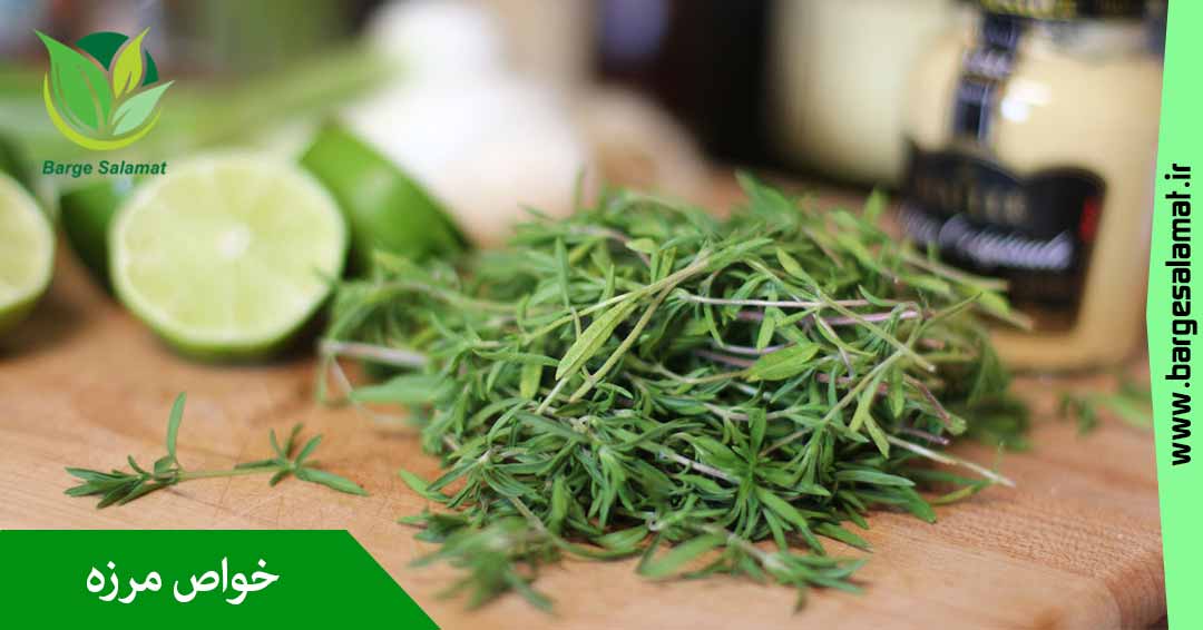 خواص مرزه خواص مرزه