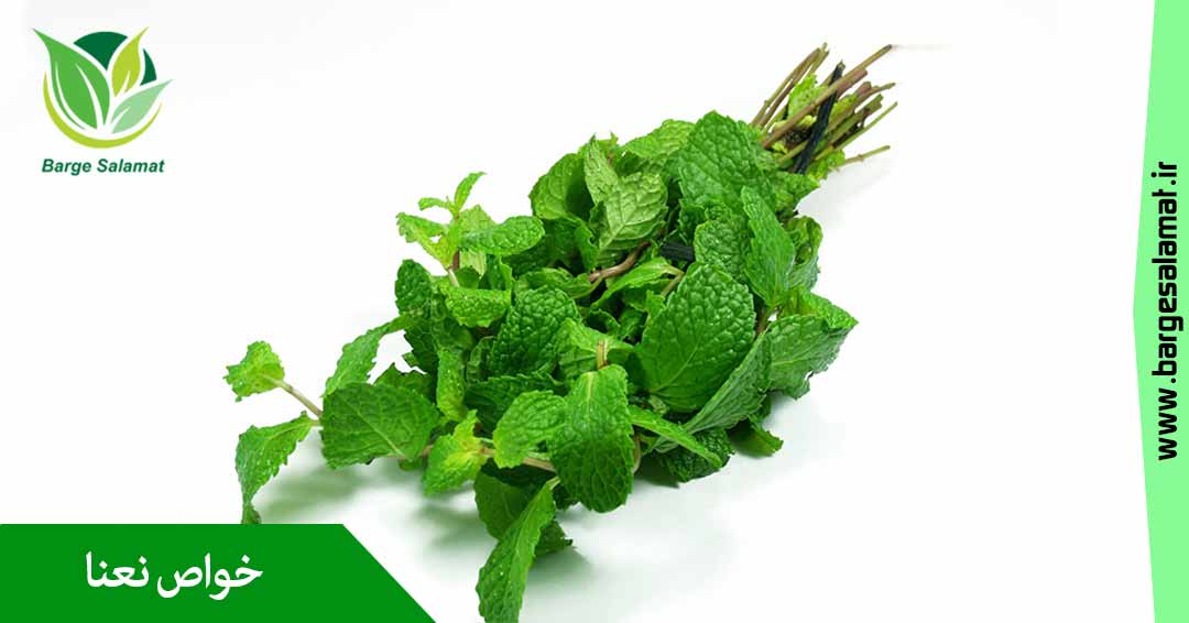 خواص نعنا خواص نعنا
