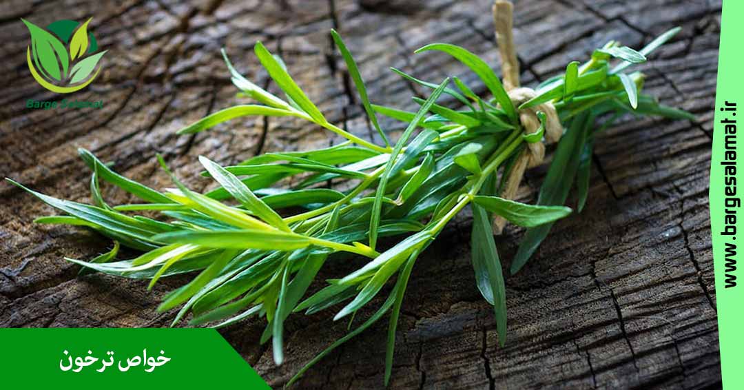 خواص ترخون خواص ترخون