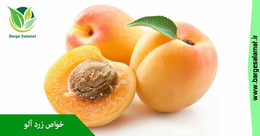 خواص زردآلو خواص زردآلو