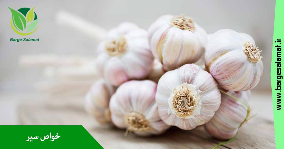 خواص سیر خواص سیر