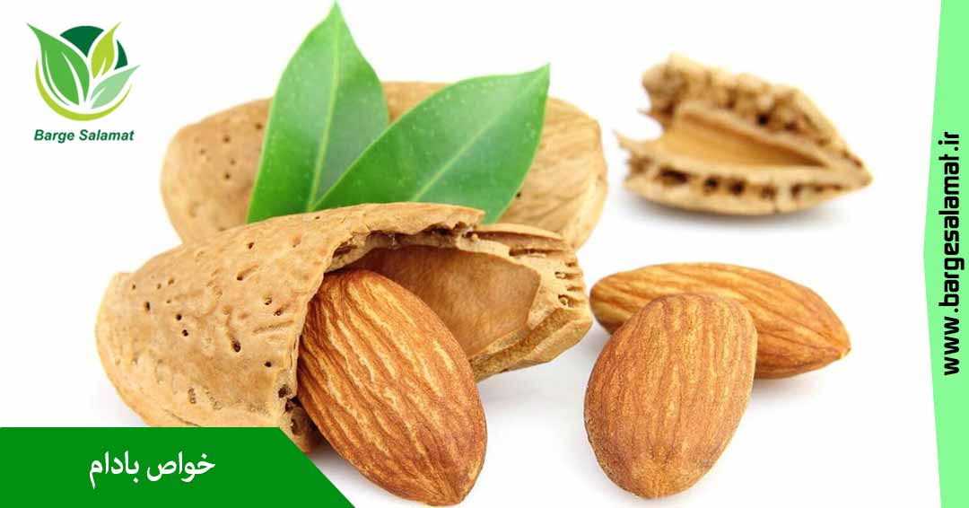 خواص بادام خواص بادام