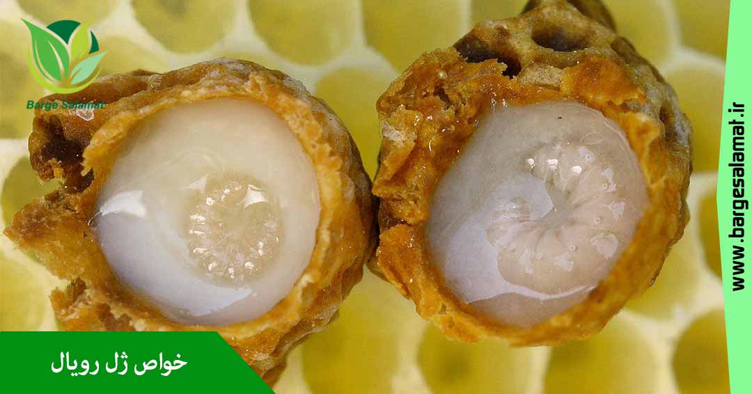 خواص ژل رویال خواص ژل رویال