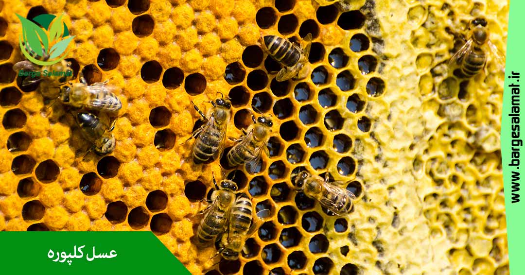 عسل کلپوره عسل کلپوره