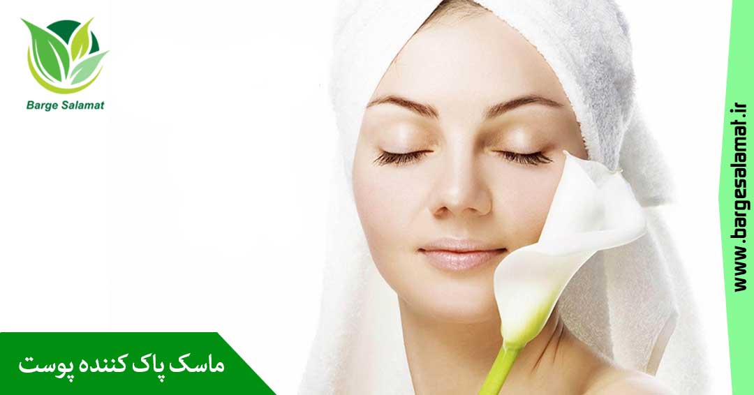 ماسک گیاهی پاک کننده پوست ماسک گیاهی پاک کننده پوست