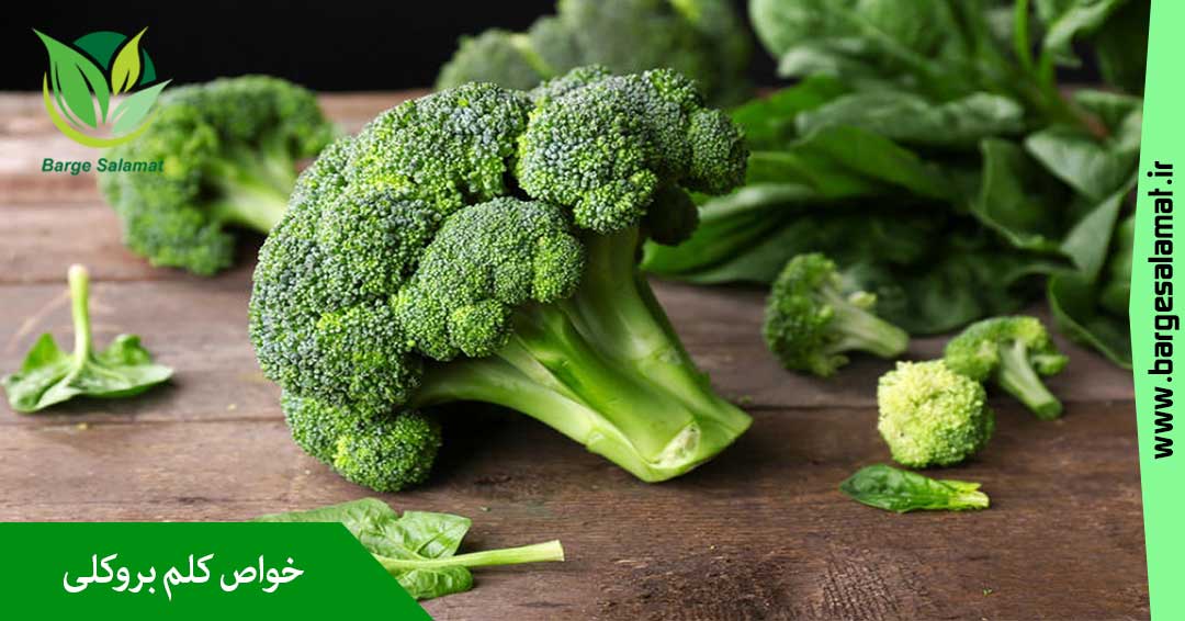 خواص کلم بروکلی خواص کلم بروکلی