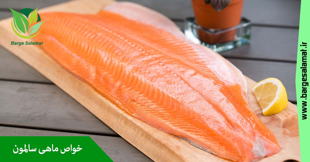 خواص ماهی سالمون خواص ماهی سالمون