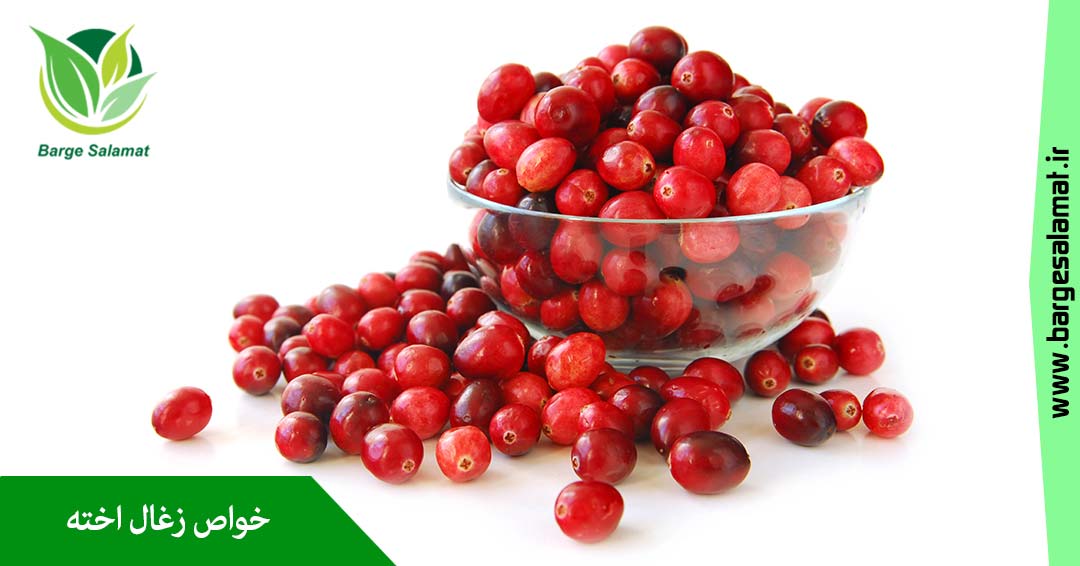 خواص زغال اخته خواص زغال اخته