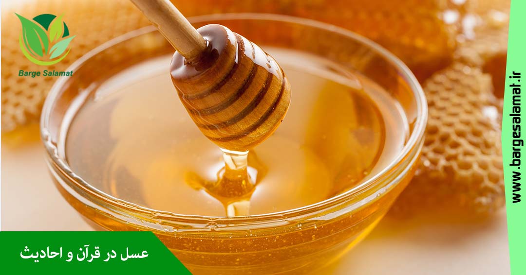 عسل در قرآن و احادیث عسل در قرآن و احادیث