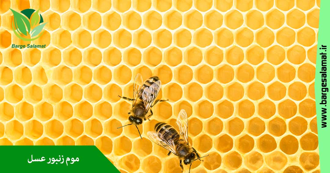 خواص موم عسل خواص موم عسل