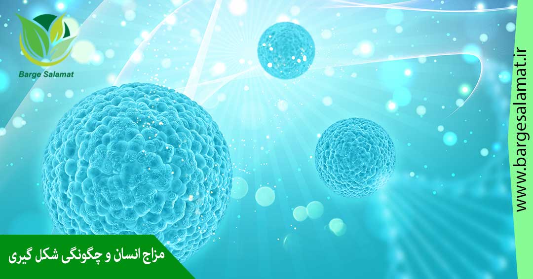 مزاج چیست و چگونه شکل می گیرد ؟ مزاج چیست و چگونه شکل می گیرد ؟