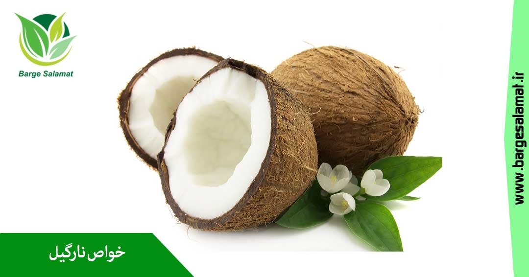 خواص نارگیل خواص نارگیل