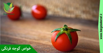 خواص گوجه فرنگی